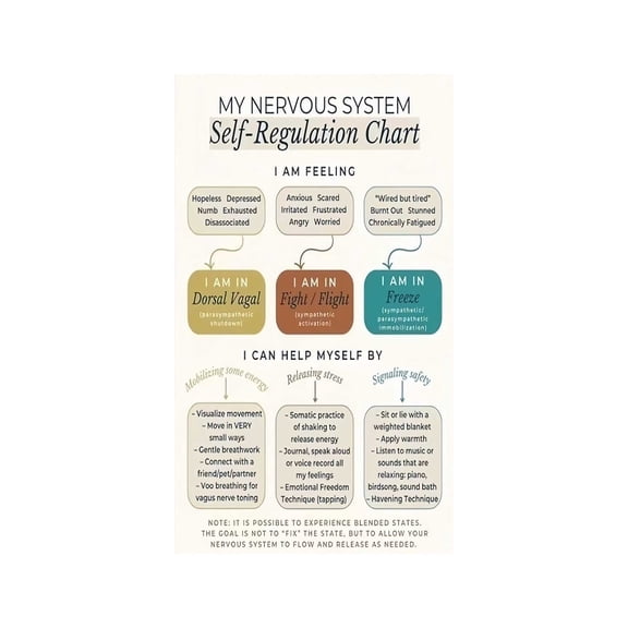 Polyvagal Theory Nervous System Chart Poster Mind Body Connection Educational Guide for Therapy Office Counseling Room Wall Art