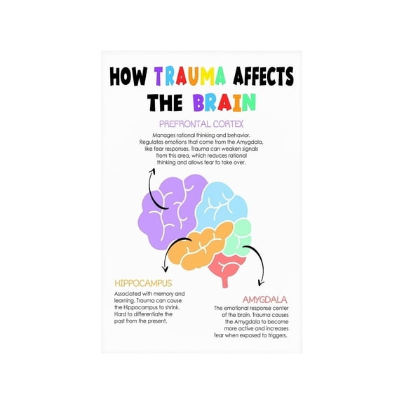 Polyvagal Theory Poster Nervous System States Chart Illustrated Diagram Somatic Awareness Educational Resource for Therapists Coaching or Classroom