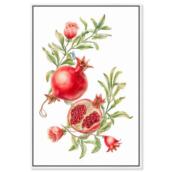 Pomegranate Bloom II Canvas Print Summer Art Prints by Art Remedy, White Frame, 10 x 15