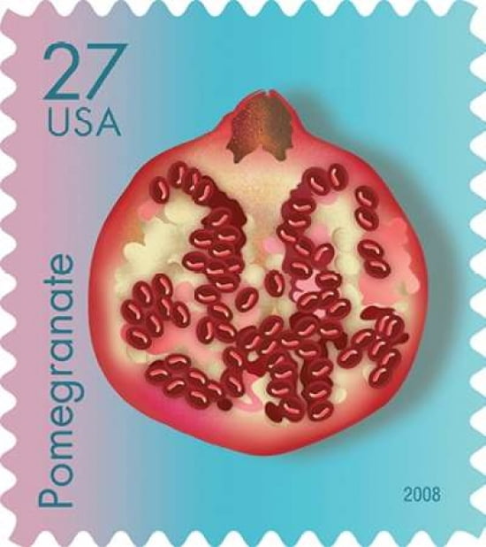 Pomegranate Canvas Art - US POSTAL SERVICE (24 x 24)