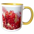 thumbnail image 1 of 3drose, Pomegranate Fruit, Bangkok, Thailand - As36 Cmi0744 - Cindy Miller Hopkins, 11oz Two-tone Yellow Mug, 1 of 6