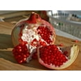 thumbnail image 1 of Seed Kingdom 15 Pomegranate Plant Seeds, Sun and Warmth, 1 of 2