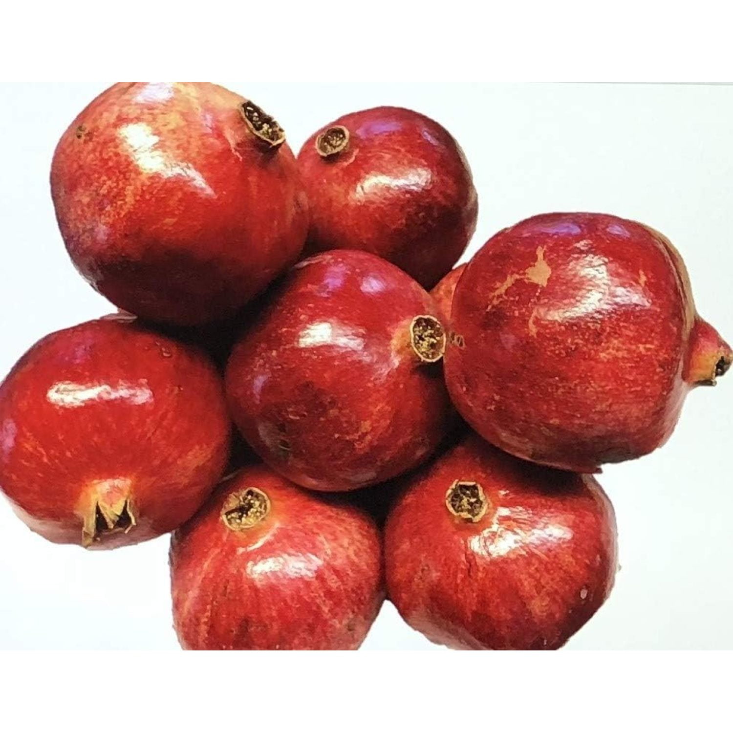 Pomegranate Plant / Tree 'Big Red' (Punica Granatum) Wonderful Live