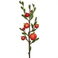 thumbnail image 1 of Pomegranate Spray X7 Fruit - 25 in., 1 of 1