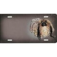 thumbnail image 1 of Pomeranian Airbrush License Plate Free Names on this Air Brush, 1 of 1