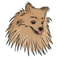 thumbnail image 1 of Pomeranian Decal | Indoor/Outdoor | Dog Lover Super Cute Sticker for SUV Windows, Dorm Rooms, Bedroom, Offices | SignMission personalized gift | 18", 1 of 2