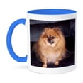 thumbnail image 1 of 3dRose, Pomeranian Dog, 15oz Two-Tone Blue Mug, 1 of 7