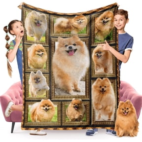 Pomeranian Dog Blanket for Kids, Cute Soft Cozy Warm Flannel Throw Blanket for Girls Boys, Toddler Baby Blankets and Throws for Couch Bed Daycare Preschool Naptime, 40" x 50"