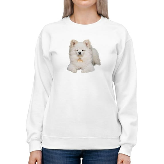 Pomeranian Dog Sitting Sweatshirt Women -SPIdeals Designs, Female 5X-Large