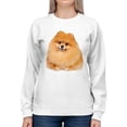 thumbnail image 1 of Pomeranian Dog Sweatshirt Women -SPIdeals Designs, Female XX-Large, 1 of 4