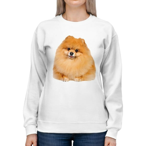 Pomeranian Dog Sweatshirt Women -SPIdeals Designs, Female x-Large