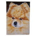 thumbnail image 1 of Pomeranian Flag Canvas House Size, 1 of 4