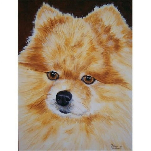 Pomeranian Flag Canvas House Size