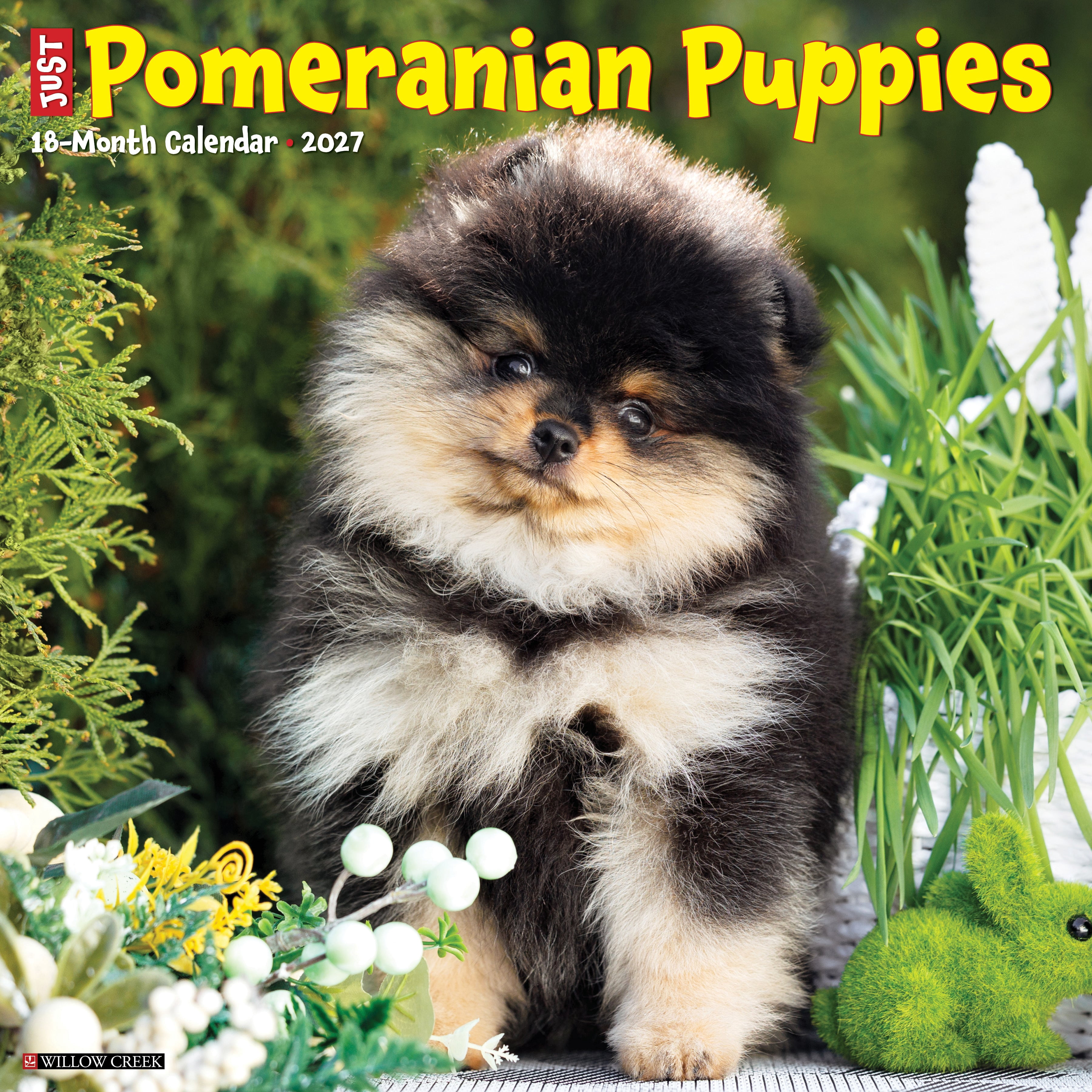 Willow Creek Press, Pomeranian Puppies 2027 Wall Calendar