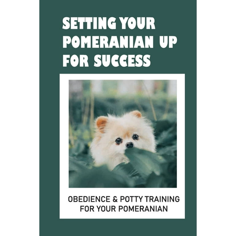 Pomeranian potty training sale