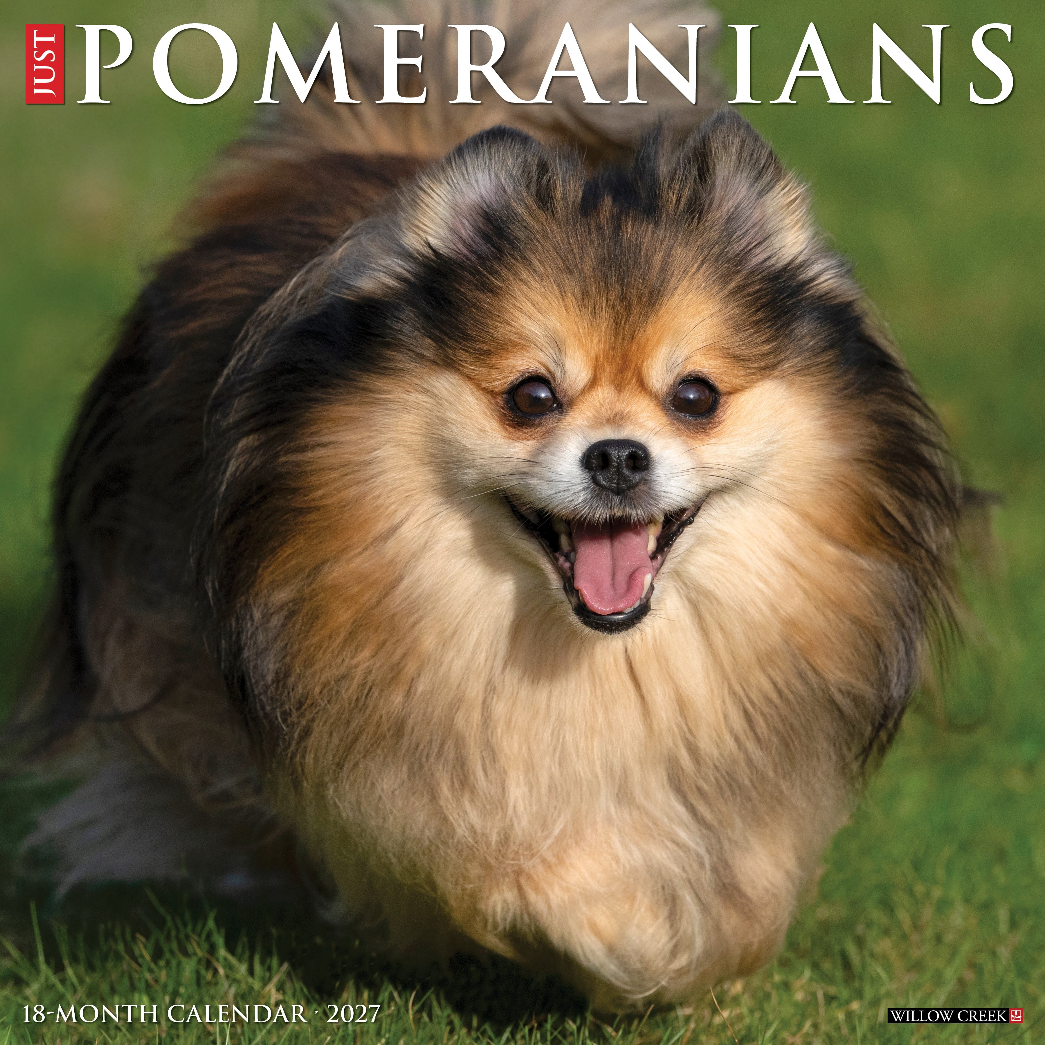 Willow Creek Press, Pomeranians 2027 Wall Calendar