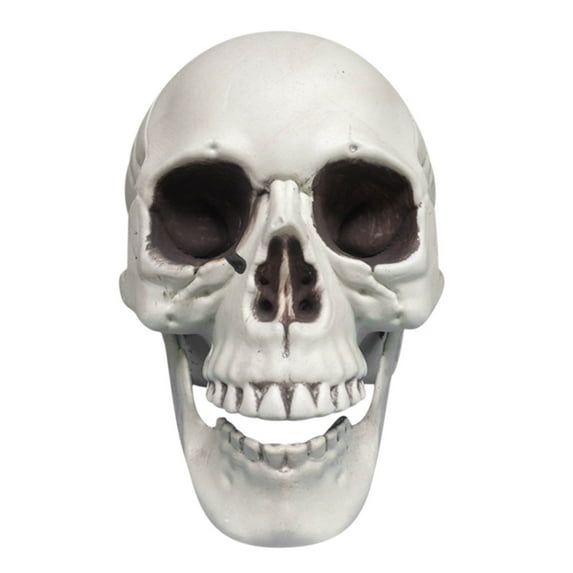 Pompotops Up to 50% off! Halloween Skeletons Plastic Realistic Fake Simulation Human Skull HeadBone Model Halloween Prop Realistic Mini Skeleton Spooky Halloween Decoration