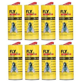 Fly Paper, Sticky Fly Trap Indoor/outdoor Hanging, Fly Paper Strips, Gnat Killer  Traps For Fruit Flies, Bug, Insect, Pest, Mosquito, Pest Control Trap -  Temu Slovakia