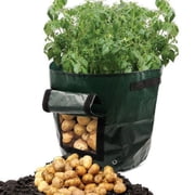Pompotops Grow Bag with Handles, PE Green, 34 cm x 35 cm