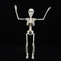 Pompotops Posable Halloween Skeleton Decorations Poseable Skeleton With Movable Joints For Halloween Indoor/Outdoor Haunted Houses Graveyard Decor