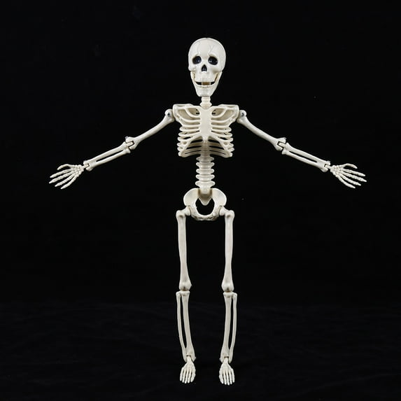 Pompotops Posable Halloween Skeleton Decorations Poseable Skeleton With Movable Joints For Halloween Indoor/Outdoor Haunted Houses Graveyard Decor