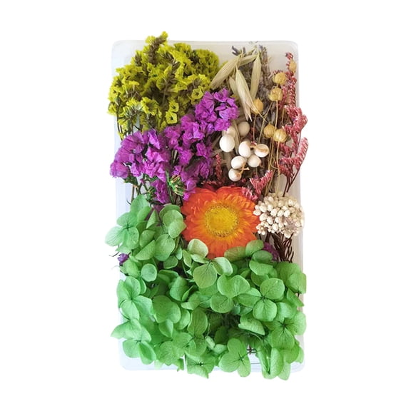 Pompotops Real Natural Dried Flowers Material Kit Diy Everlasting Flowers Material Making Valentine's Day Gift