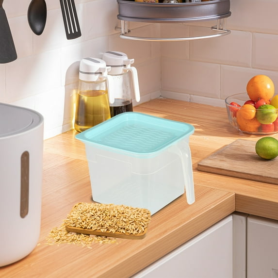 Pompotops Small Fridge Food Storage Container with Lids, Plastic Transparent Covered Refrigerator Vegetable And Fruit Sorting Storage Food Storage Box, Refrigerator Fresh Box