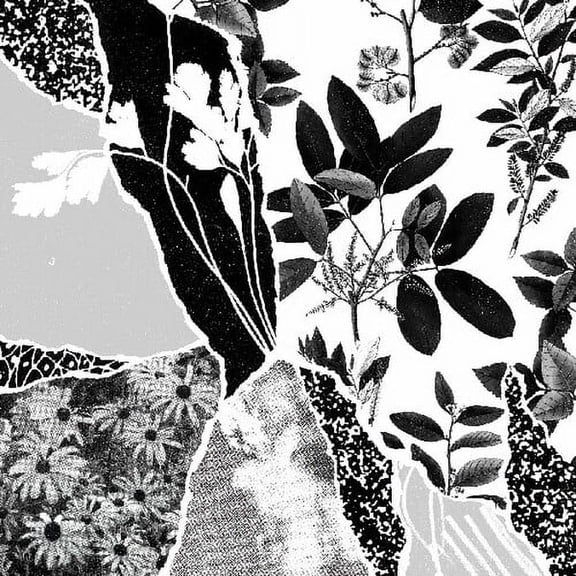 Ponctuation - Mon Herbier Du Monde Entier - Music & Performance - Vinyl