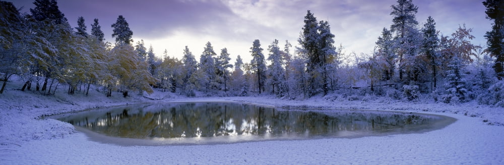 Pond And Fresh Snowfall Near 70 Mile House British Columbia Canada Canvas Art - David Nunuk Design Pics (36 x 13)