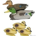 thumbnail image 1 of Pond H2o Floating Duck Family Pack, Includes Male & Female Mallards and 3 Ducklings, 1 of 9