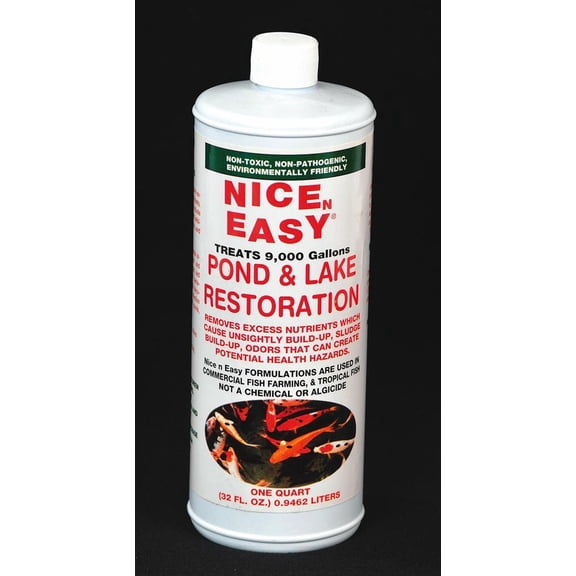 Pond/Lake Restoration Treatment