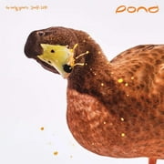 Pond   The Early Years 2008 - 2010 LP orange