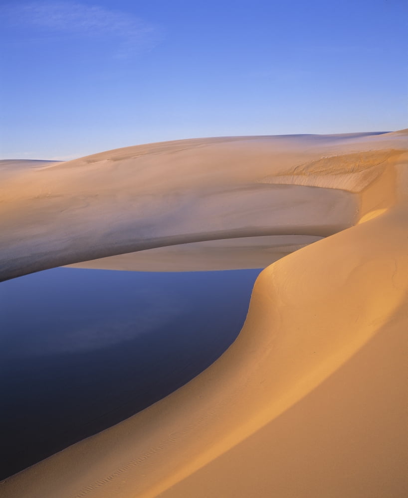 Pond Umpqua Dunes Oregon Usa Canvas Art - Natural Selection Robert Potts Design Pics (24 x 30)