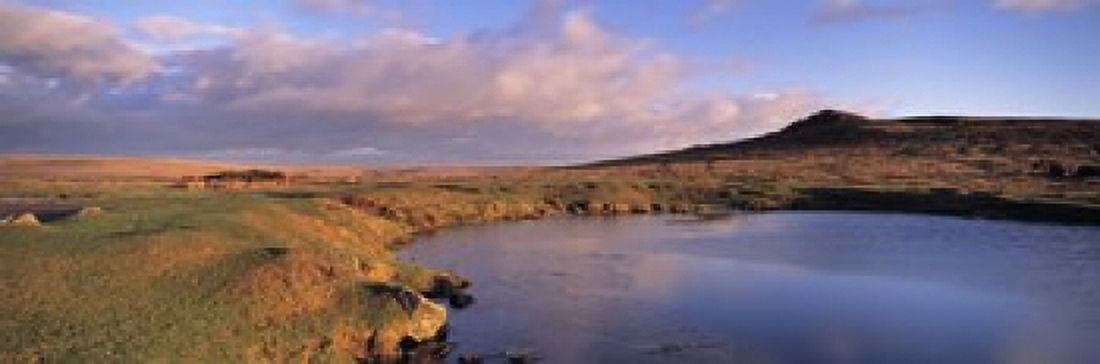 Pond and warm evening light at Sharpitor Dartmoor Devon England Canvas Art - Panoramic Images (18 x 6)
