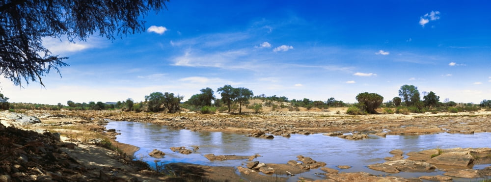 Pond in Tsavo East National Park Kenya Canvas Art - Panoramic Images (27 x 9)