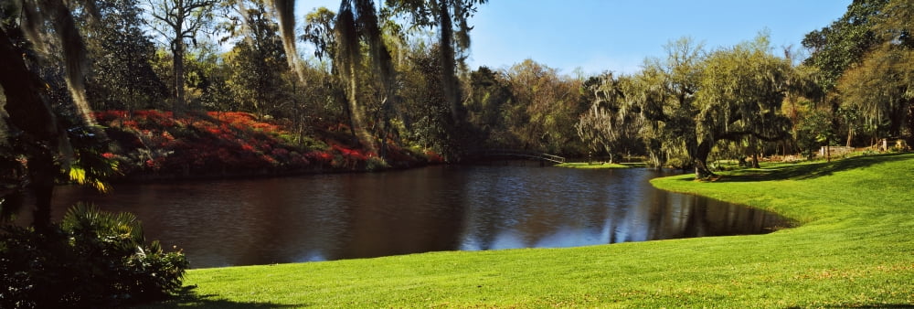 Pond in a garden Middleton Place Charleston South Carolina USA Canvas Art - Panoramic Images (36 x 12)