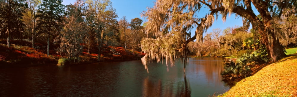 Pond in a garden Middleton Place Charleston South Carolina USA Canvas Art - Panoramic Images (36 x 12)