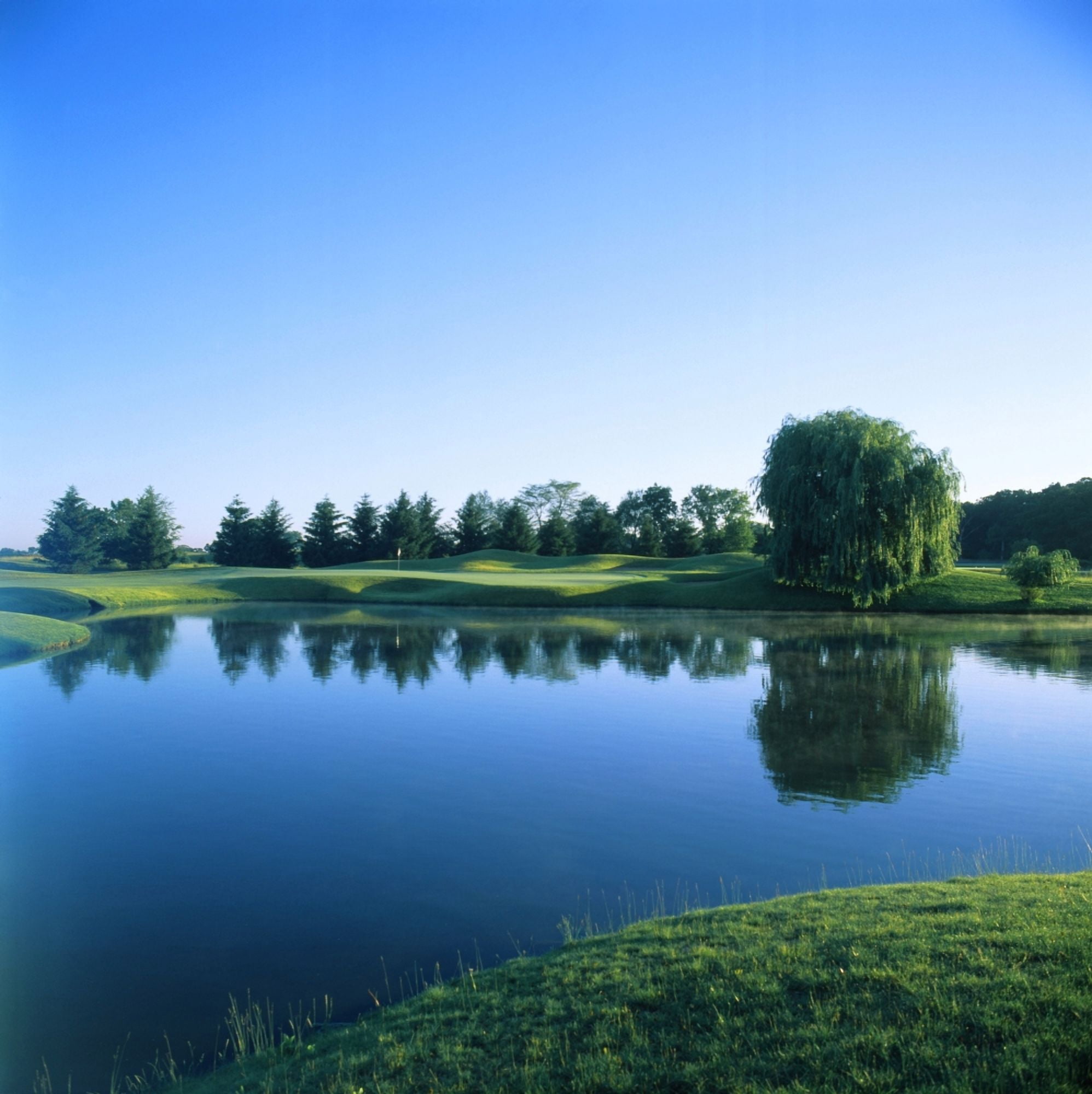 Pond in a golf course Rich Harvest Farms Sugar Grove Kane County Illinois USA Canvas Art - Panoramic Images (24 x 24)
