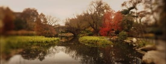 Pond in a park Central Park Manhattan New York City New York State USA Canvas Art - Panoramic Images (30 x 12)