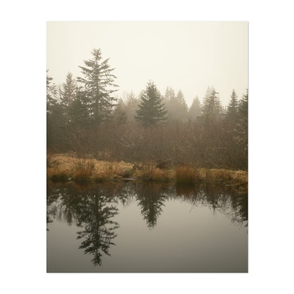 Pond on Beals Island - Beals Maine Photography Forest Nature Landscape Scenic Autumn Rustic Unframed Wall Art Print 9 x 12 inches