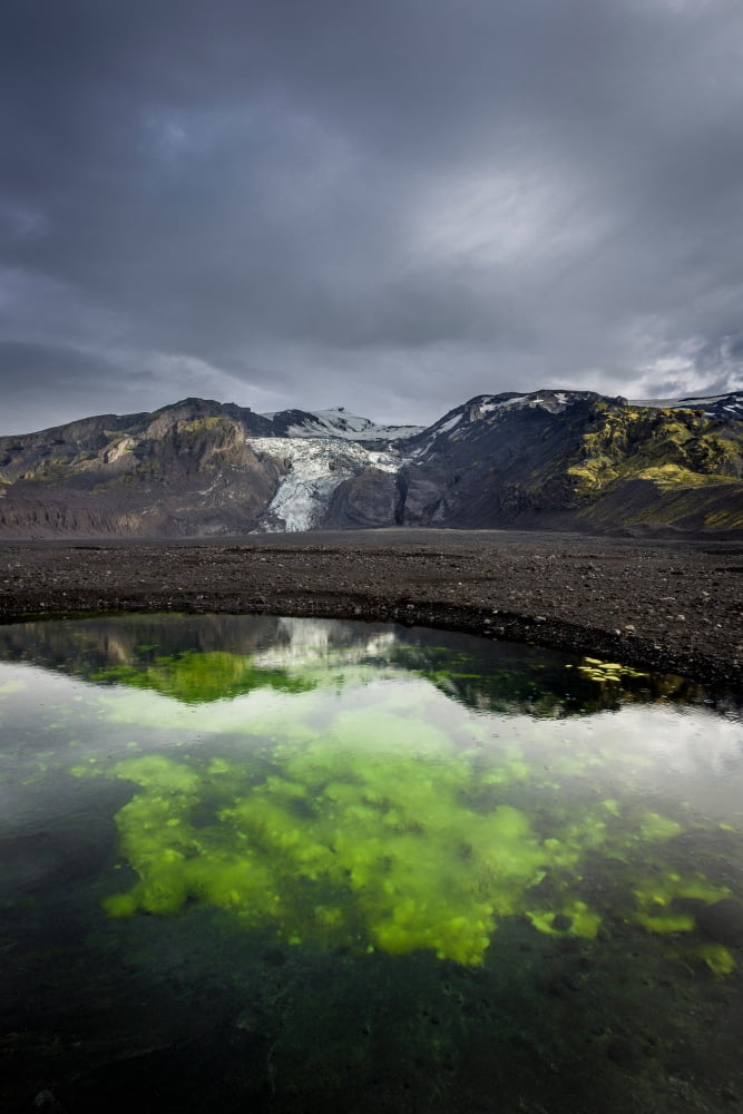 Pond with algae and ashfrom the Eyjafjallajokull Volcanic eruption Iceland Canvas Art - Panoramic Images (36 x 12)