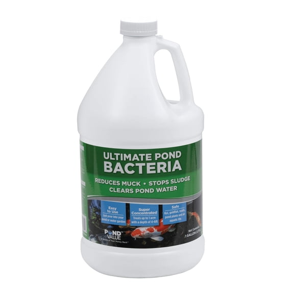 PondValue Ultimate Pond Bacteria, Outdoor Pond & Lake Natural Beneficial Bacteria Treatment, Aquatic Odor Reducer & Sludge Digester, Fish, Plant, & Livestock Safe, Easy Dosing Liquid, 1 Gallon Bottle