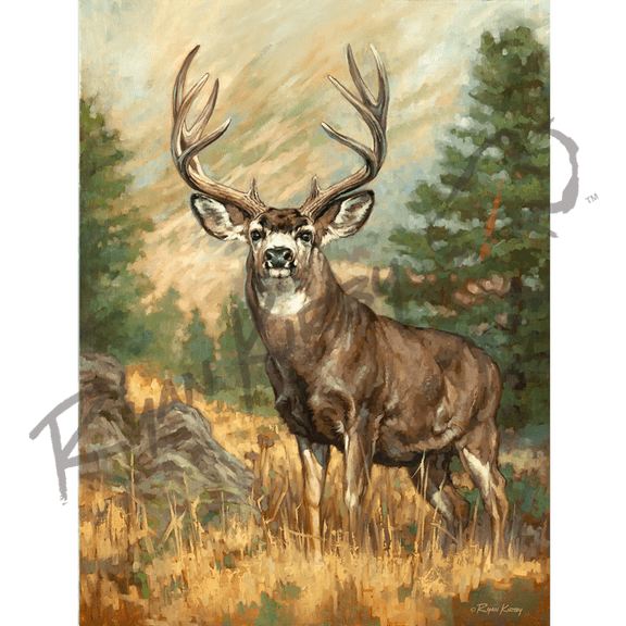 "Ponderosa Ghost" Mule Deer Canvas Art Print