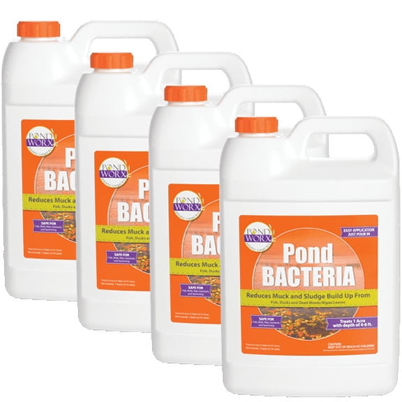 Pondworx Pond Bacteria - Formulated for Large Ponds, Water Features and Safe for Koi - 4 Gallon Value Pack