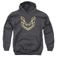 thumbnail image 1 of Pontiac - Iconic Firebird - Youth Hooded Sweatshirt - X-Large, 1 of 2
