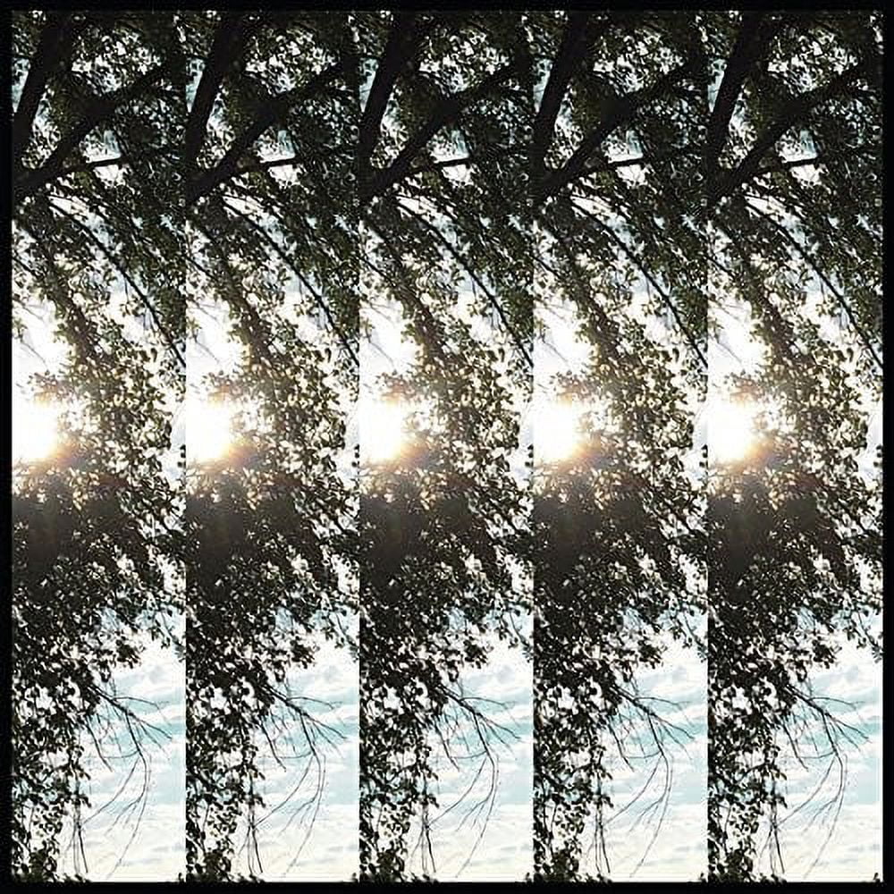 Pontiak - Dialectic Of Ignorance - Rock - Vinyl