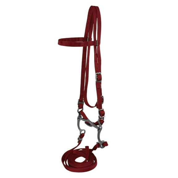Pony Nylon Headstall w/ Bit & Reins (Red)