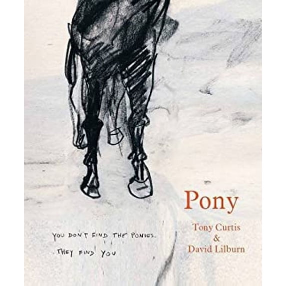 Pre-Owned Pony (Paperback) 9780956478658