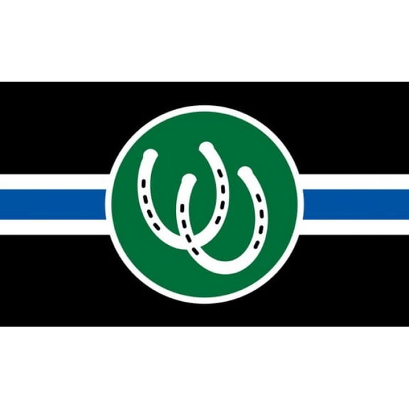 Pony Pride Flag 3' x 5'