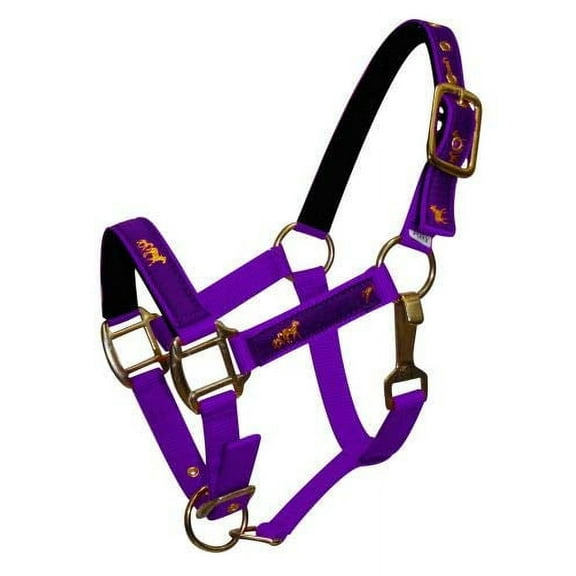 Pony Size Adjustable Neoprene Lined Nylon Halter w/ "Running Horse" Overlay